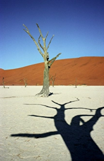 Desolate Gallery: Dead Vlei