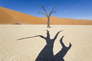 Acacia Gallery: Deadvlei, Namib desert, Namibia, Africa. Dead acacia pan