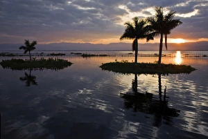 Inle Prints: December 2008