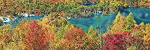 Deciduous forest in autumn colours at Shuzheng Lakes - China, Sichuan, Jiuzhaigou