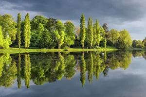 East Germany Prints: Deciduous trees reflected in the lake Worlitz