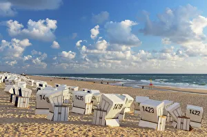Deckchairs Prints: Deckchairs on Westerland beach, Sylt, Schleswig Holstein, Germany