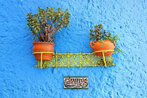 Hanging Prints: Decorated blue wall with potted plants in the old alleys of Medina, Chefchaouen, Morocco
