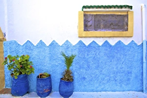 Morocco Prints: Decorative Window, Oudaia Kasbah, Rabat, Morocco, North Africa
