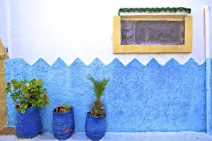 Morocco Gallery: Decorative Window, Oudaia Kasbah, Rabat, Morocco, North Africa