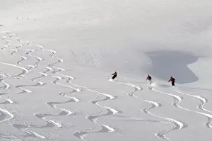 Deep powder snow, Skiing, Tyrol, Austria