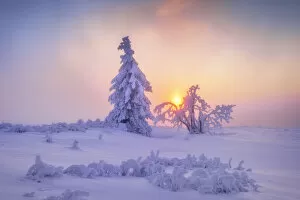 Images Dated 11th May 2021: Deep snow-covered spruces in winter landscape at Fichtelberg at sunset