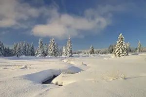 East Germany Prints: Deep snow-covered winter landscape at Fichtelberg at sunset, near Oberwiesenthal