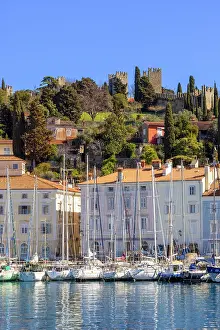 Esplanade Prints: The Defensive Walls of Piran and Piran Harbour, Slovenia, Eastern Europe