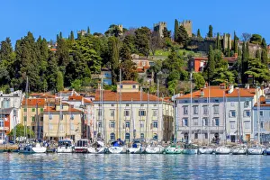 Piran Prints: The Defensive Walls of Piran and Piran Harbour, Slovenia, Eastern Europe