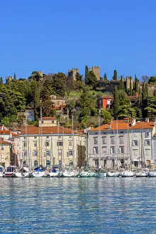 Esplanade Prints: The Defensive Walls of Piran and Piran Harbour, Slovenia, Eastern Europe