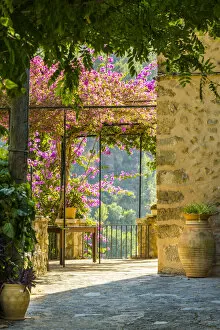 Courtyard Gallery: Deia, Serra de Tramuntana, Mallorca, Balearic Islands, Spain