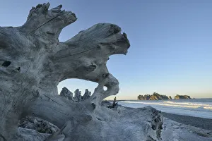 Deiftwood at Rialto Beach, Olympic National Park, Clallam County, Washington, USA Deiftwood at Rialto Beach, Olympic National Park, Clallam County, Washington, USA