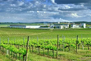 Delta Cafes, the main enterprise in the coffee industry and trade in Portugal, and Centro de Ciencia do Cafe (Coffee Science Centre). Campo Maior, Alentejo. Portugal