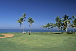 Fijian Prints: Denarau Golf Course