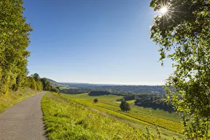 Denbies Wine Estate (Largest vineyard in England), North Downs Way, Dorking, Surrey