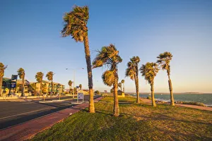Denham, Shark Bay region, Western Australia, Australia