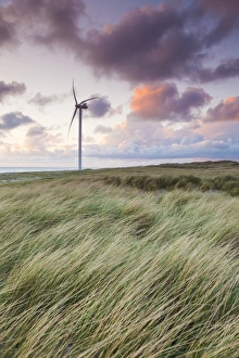 Jutland Prints: Denmark, Jutland, Danish Riviera, Hvide Sande, windmill, dusk