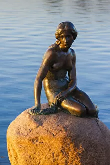 Denmark, Zealand, Copenhagen, The Little Mermaid statue, sunrise