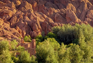 North African Prints: Derelict old kasbah among rock formations and trees, Dades Gorge (Dades Valley), Morocco