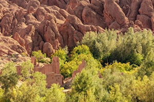 Dades Gorge Prints: Derelict old kasbahs among rock formations and trees, Dades Gorge (Dades Valley), Morocco