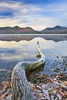Keswick Prints: Derwent Water at dawn, Keswick, Lake District National Park, Cumbria, England
