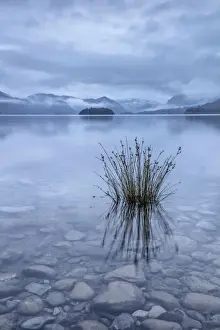 Keswick Prints: Derwent Water, Keswick, Lake District National Park, Cumbria, England, UK