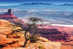 Red Rocks Prints: Desert Landscape, Dead Horse Point Park, Utah, USA