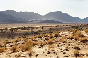 Desert landscape, Wolwedans, NamibRand Nature Reserve, Namibia, Africa