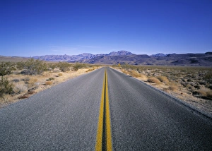 Desert Road