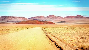High Altitude Prints: Empty desert track, Vega de los Colorados, Puna, Catamarca, Argentina