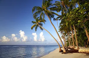 Deserted Palm Fringed Beach, Kuredu, Maldives