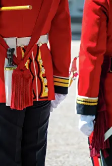Sentry Prints: Details of the Goldstream Guards uniform during Changing the Guard ceremony (Guard Mounting)