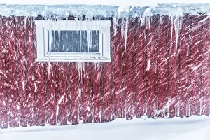 Lodge Gallery: Details of a rorbu in Hamnoy during a snowfall, Lofoten islands, Norway