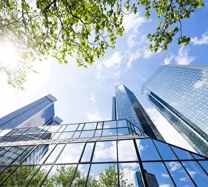 Economy Prints: Deutsche Bank tower in Frankfurt am Main, Hesse, Germany