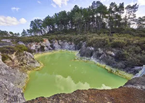 Images Dated 4th November 2019: Devils Bath, Rotorua, New Zealand