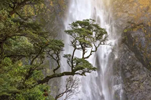 Images Dated 1st November 2019: Devils Punchbowl Falls, near Arhurs Pass, new Zealand