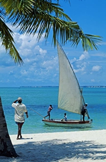 Images Dated 9th February 2009: Dhows alongside the beach