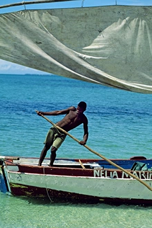 Coast Line Gallery: Dhows alongside the beach
