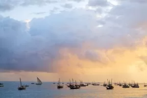 Coast Line Gallery: Dhows at sunset, Zanzibar