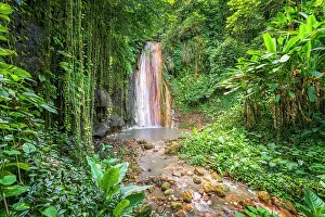 Plants Prints: Diamond Waterfall and Botanical Garden Soufriere, Saint Lucia