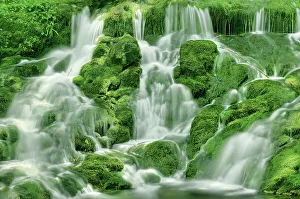 New Brunswick Prints: Dickson Creek at Dickson Falls in Fundy National Park, New Brunswick, Canada