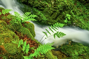 Flowing Water Prints: Dickson Creek waterfalls, Fundy National Park, New Brunswick, Canada