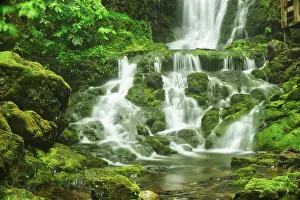 New Brunswick Prints: Dickson Falls Fundy National Park, New Brunswick, Canada