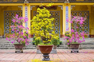 Viet Nam Prints: Dieu De Pagoda (Chua Diệu Đế) Buddhist temple in Huế