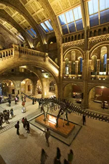 National Landmark Gallery: Dinosaur at the Natural History Museum, London, England