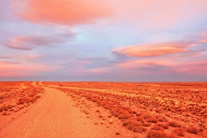 Petrified Forest Prints: A dirty road in the Patagonian steppe at twilight