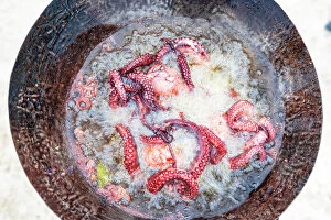 Tanzania Collection: Dish with cooked octopus, Zanzibar, Tanzania