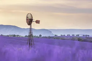 Wind Prints: Dissused wind pump amongst lavender fields, Valensole Plateau, Provence, France