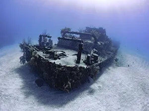 Corals Prints: Doc Poulson Wreck on Grand Cayman, Cayman Islands, Biritsh West Indies